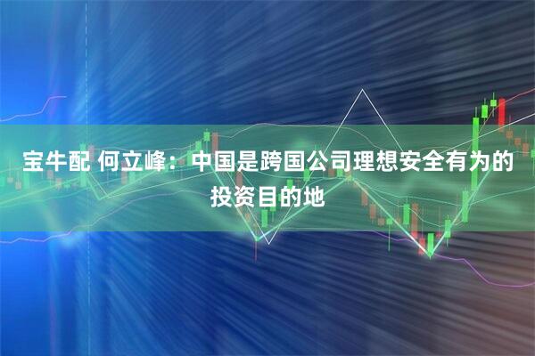 宝牛配 何立峰：中国是跨国公司理想安全有为的投资目的地