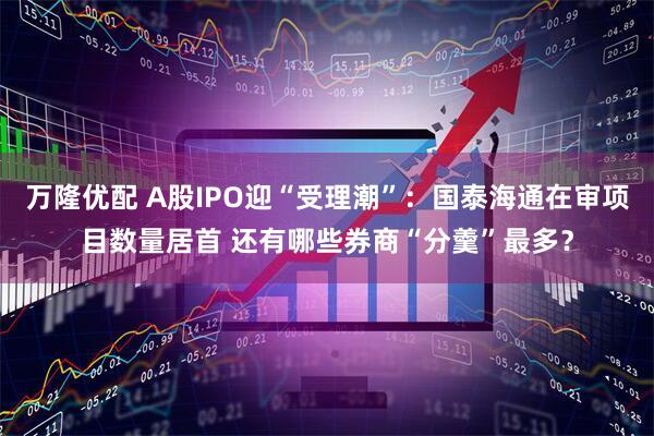 万隆优配 A股IPO迎“受理潮”：国泰海通在审项目数量居首 还有哪些券商“分羹”最多？