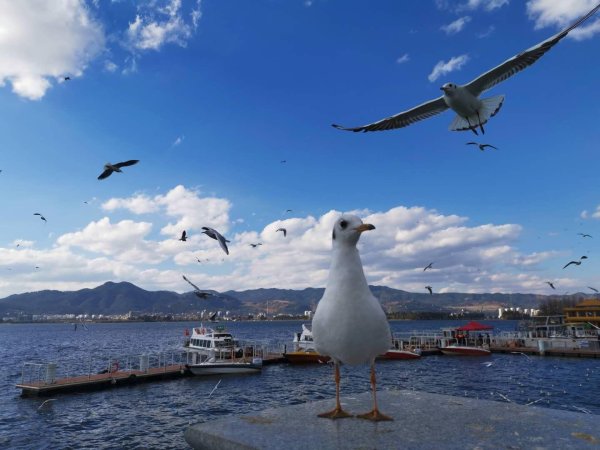 大资本优配 更看重专业和就业前景，越来越多考生不再追求名校光环