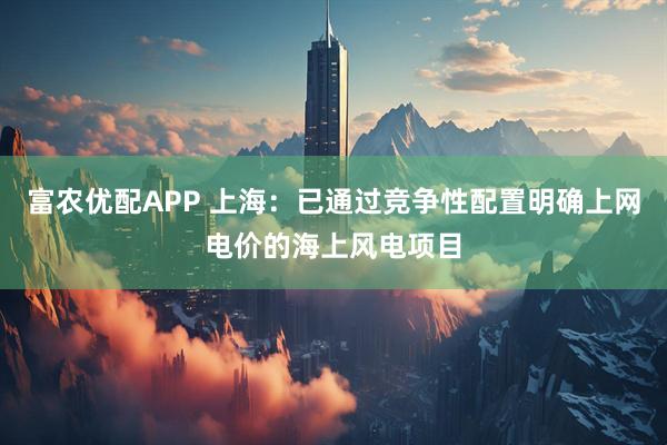 富农优配APP 上海：已通过竞争性配置明确上网电价的海上风电项目