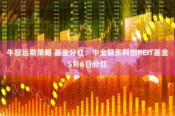 牛股远期策略 基金分红：中金联东科创REIT基金5月6日分红
